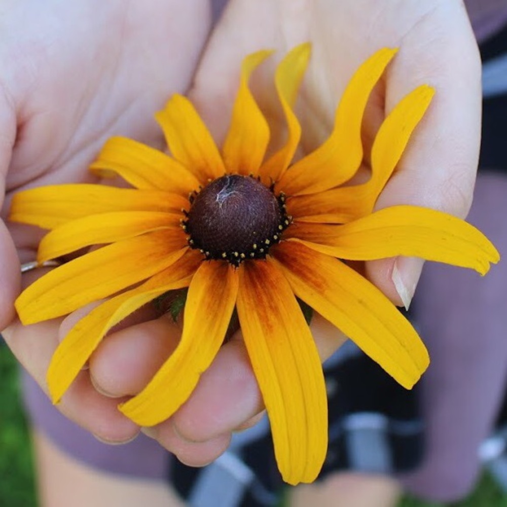 Meet your Posher, Sidney